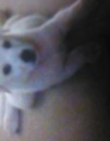 6b5607c595077b35caecaab5a9c5bc120aa34d1a