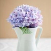 7a78628c348fd32d3d1443887e3e010b6094b8ef