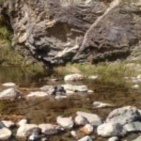 99ec396d882c4671b254d5c94ff920085b45d710