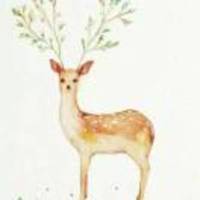 4b4ea19544d0ff0781160e395587c7aedb7fceb9