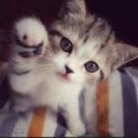 E8e3e33ba1db8860fa8ae4ecb8385b700ce85567