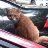 53c7b26c2d351f8e429ba01834e9835662df925e