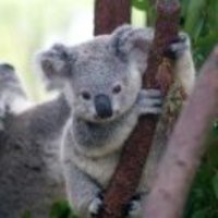 7512d615398d1ec21aa31260060a786c6e864192