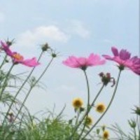 Dd3f1ac0e090947381ec0f4eb7e3d20586899eb5