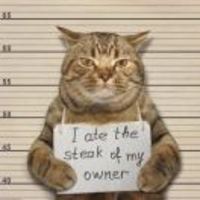 00a3cc0962b827172e6b004a5c2a9460c9011d5a