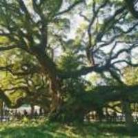 41173e1b23b30cfb6c9c986f2e3a7b46850fc9b6