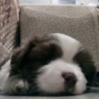 47b68dc34ea05ed50c585f5e1a6ba65f78fbd591