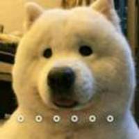 88147fdd164d730d436828ef378fa065c02b796f