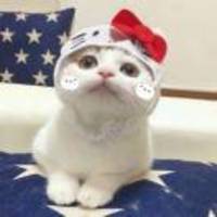 207659dfb38acc98bb34fc21facd1d4efab977c0