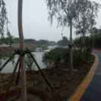 2ccd14117bfbf1111b512bc0c84035d46ef52664