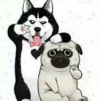 1e985de69119bc2e1e4fd390ecf057d8ebce3036