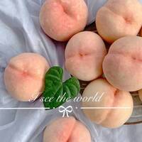 Ac1049d84444bf41a2d794810f46322354ee7c13