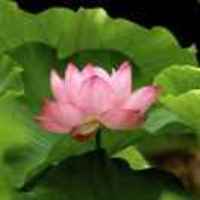 9b9cf343ee0b82fb60c6be3290e6a8090abff154