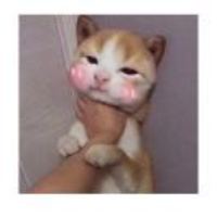 81d392f2b7b803fefc0356de4b3d4334bf091e98