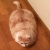 F2a47296d3ecd1828a945acf1fa832b4ee01cc8b