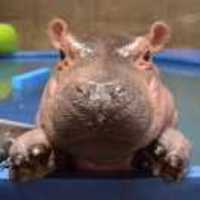 2f98d0e20d46fba12bb1fa2c2a61224b51e892eb