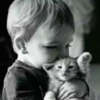 86663f871e492c3dbd711c00eab7064938289120