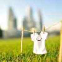 0a77ceb64fcd3e8e5ab11a771631ea4538a9e228