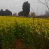 58aafe1a8905a3dfadd8c5f4b587f24d871179db