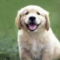 0c7ee1b776c5456b49b3a54b88ef14e4f9399cd1