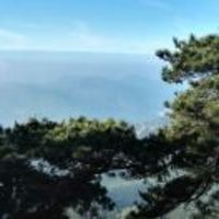 2d4a86d942ed0b624f2f3148e097bcce9fc2884d