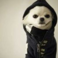 Db1cc9d0d4fc9be9d52ea16cae799959ca29e857