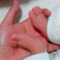 D023f99261404b62838bc0bb56407c567269d900