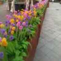 6946cf64379ff8c7c1ebc1351784dfeed805b187