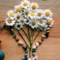 239b6933014f70d7bdc6786095d6b7173be18ed3