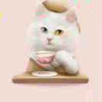 66f59bb2552b80ef338b499a6078df23b494dbbb