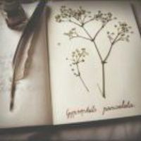 08dcceae417033b424a5f61dbb6791071ee0181d