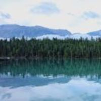 F41c15845a7f2c7e8b6d75a1345c712ad1d808d0