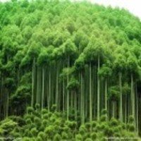 474ad36539b1cbff206507d7bf0916f3b4729e03