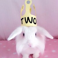 25dca4213f0e59c93bb5c2fea28bcbd9c1d1ff69