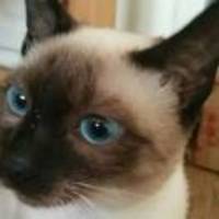 De6c1c88cd269ad56401be1fa82ec1815a265617