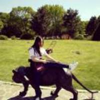 7d44008b762a3cbad9e0d8d7ca3fc63955821167