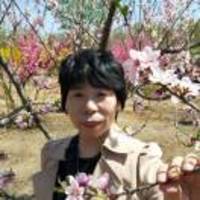 D19985f52a4b656806c62ee24e93a01d2d01dd0e