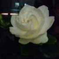 2d8f3d27b2bbf96ed79cdd1489a1fc13854c9e64