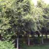 5f31be0ab0d420e92591f2fe09988aae5f576880