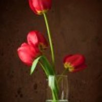 D5ac2e05ab49b9d0d1d18f332ac5a7f2e2e80594