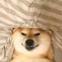 629cf39154e7eb45190e1155d8fed938a419fa46