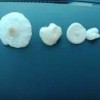 2445d19d10b9cf32518317470a2c5b4aedbf7920