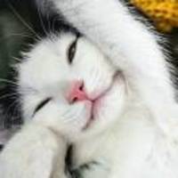 67870679c4962c79d5397d924d32231a0233fe94