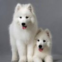 C293066c6c381048a6cc36a478ae1aa37981182c