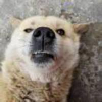 E43ad218db762d6d8c3d2c934af2232a4b60f662