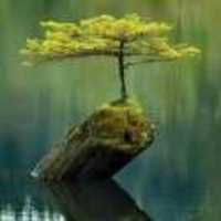 213d13025a2d5d303270f223370c6804c84d492b