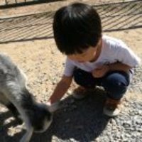 93b781c0fcac4b76a676ffb1b4b455654d71e356