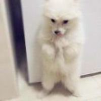 758aecaf2f1ee053277903eac68810cd11738e9e