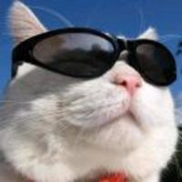 2d26d65a09f302551c8c8bc68aad99594c0c9062