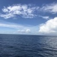 378cb9957880030228cb6c96cc987c7f2b4663a1